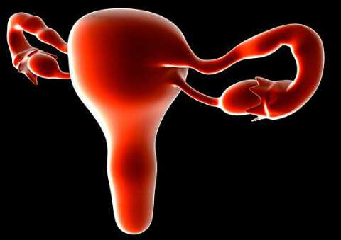 东莞供卵试管费用明细,东莞正规供卵机构名单汇总，这几家做三代试管不用等